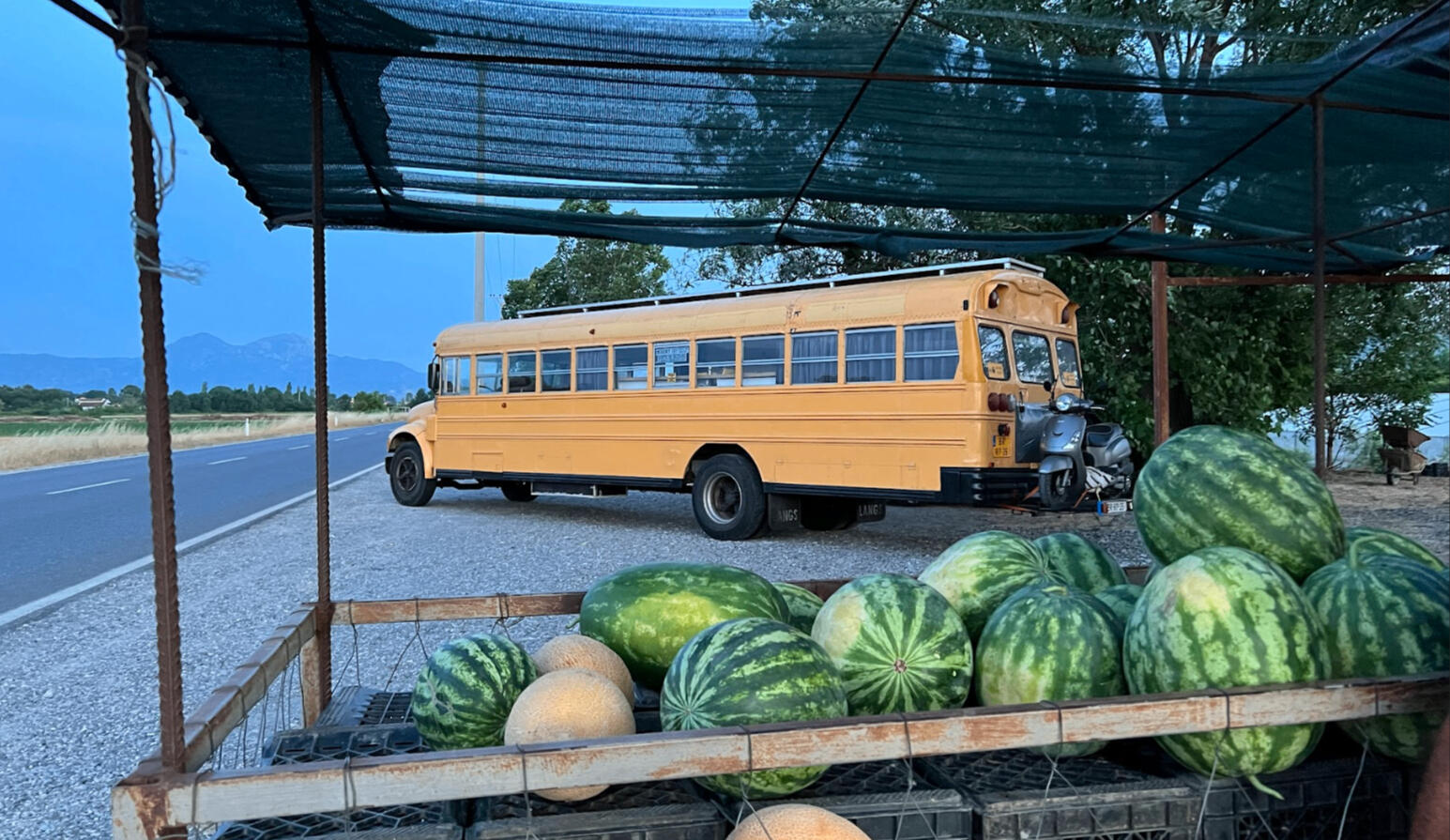 Wakker worden in de natuur.